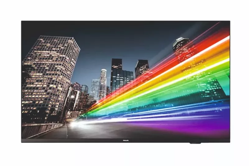 Профессиональный телевизор Philips 55BFL2214/12 RU